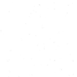 Meet your Posher, Jamison